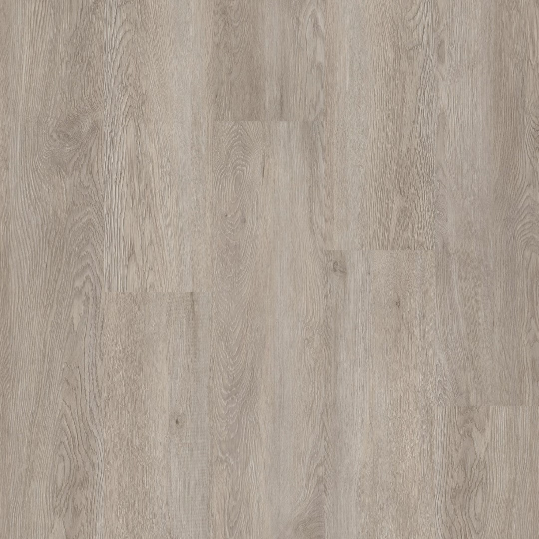 Therdex 4010 Tapis Klebe - Vinyl - Solzaleben.de