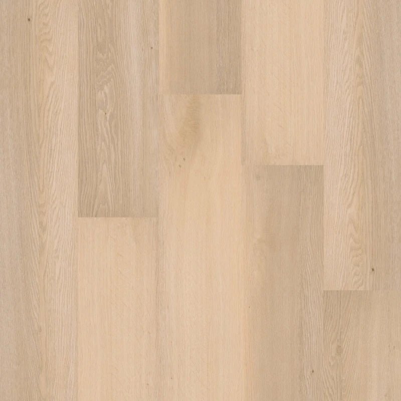 Therdex 70010 Premium Klebe - Vinyl - Solzaleben.de
