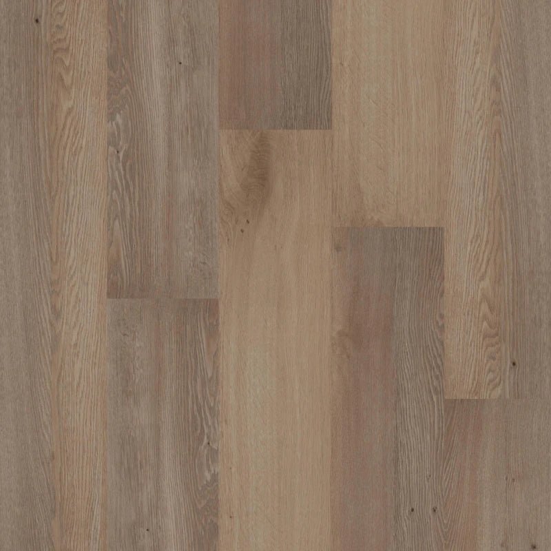 Therdex 70050 Premium Klebe - Vinyl - Solzaleben.de