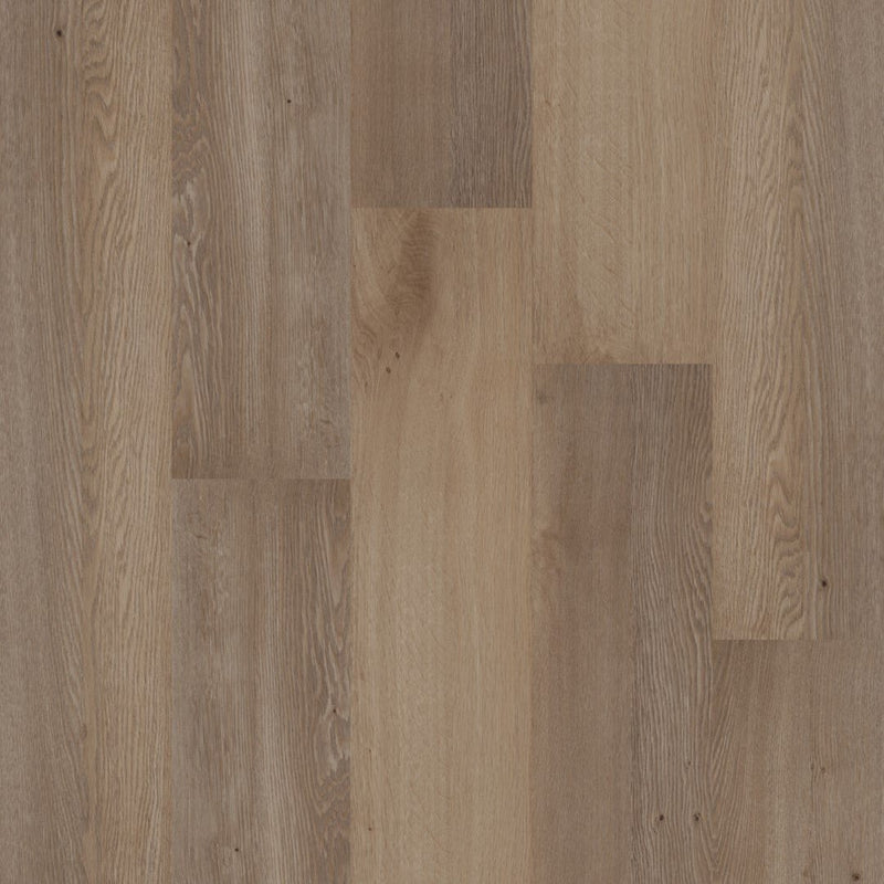 Therdex 70050 Premium Klebe-Vinyl - Solzaleben.de