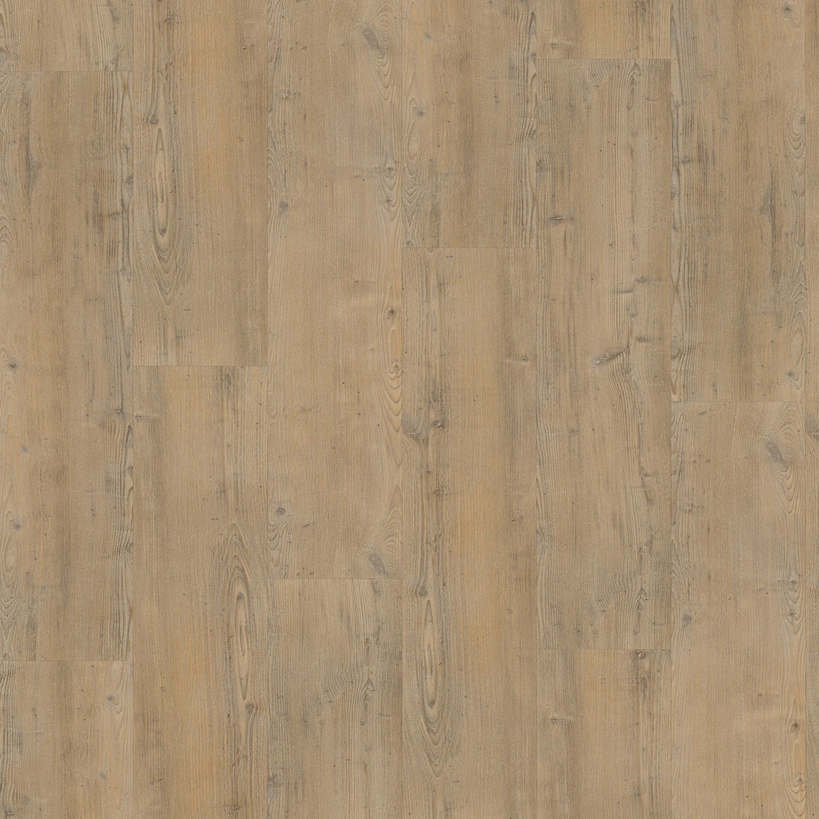 Vivafloors 4203 Nadelholz Klebe - Vinyl - Solzaleben.de