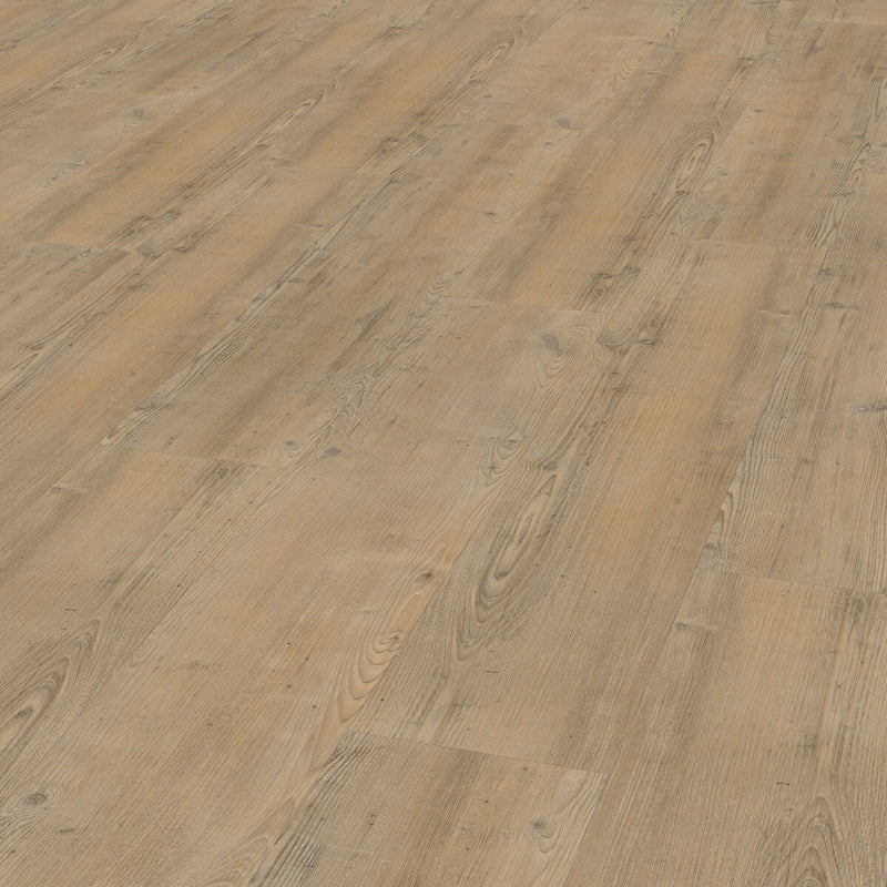Vivafloors 4203 Nadelholz Klebe-Vinyl - Solzaleben.de