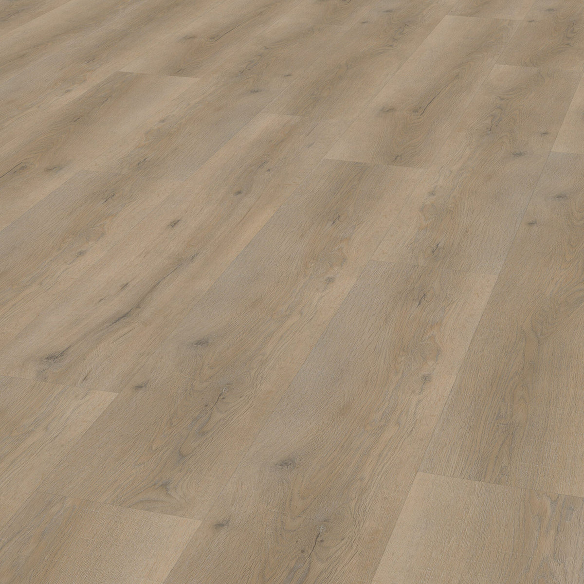 Vivafloors 6810 Eiche Klebe-Vinyl - Solzaleben.de