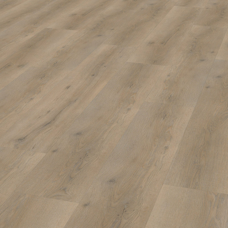 Vivafloors 6810 Eiche Klebe-Vinyl - Solzaleben.de