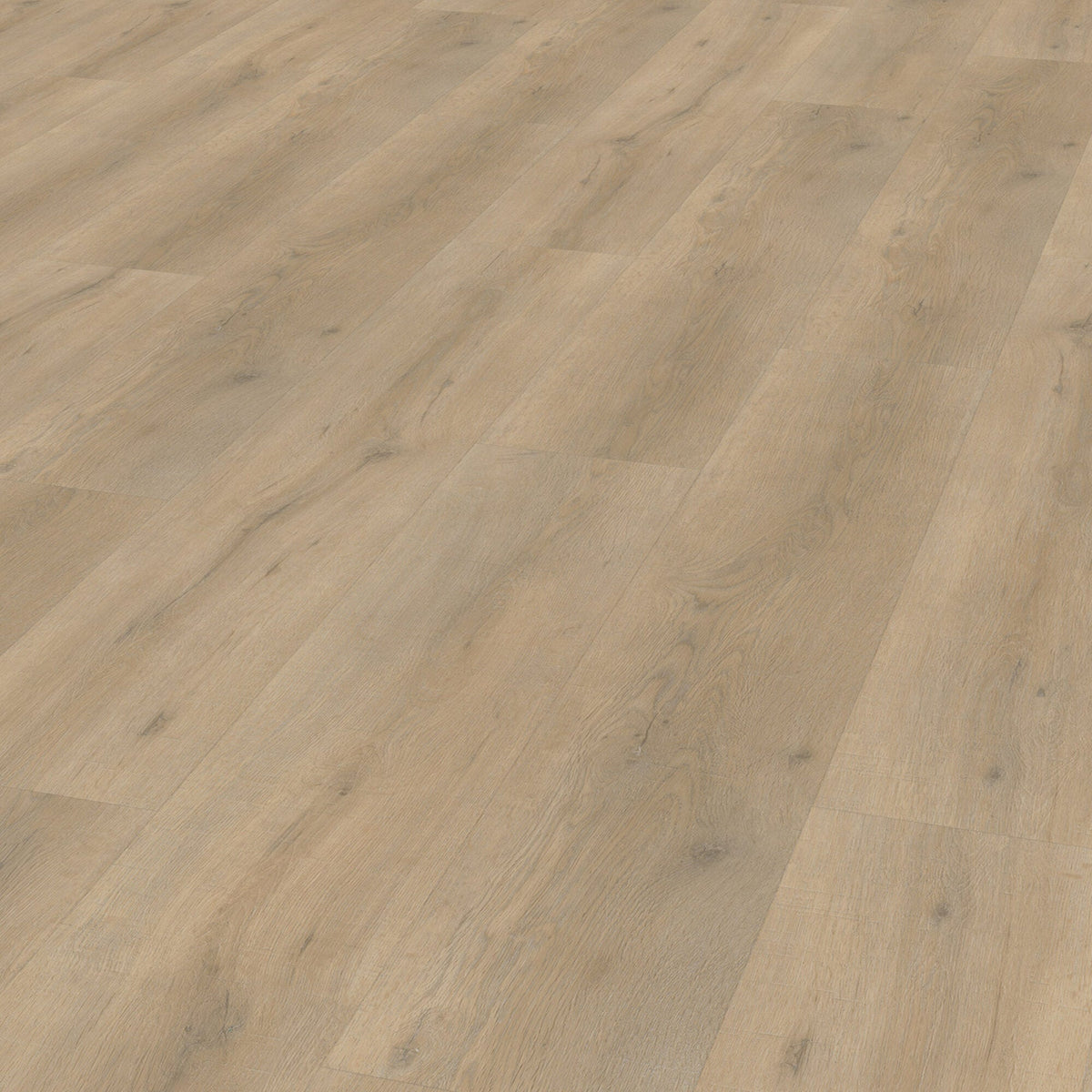 Vivafloors 6830 Eiche Klebe-Vinyl - Solzaleben.de