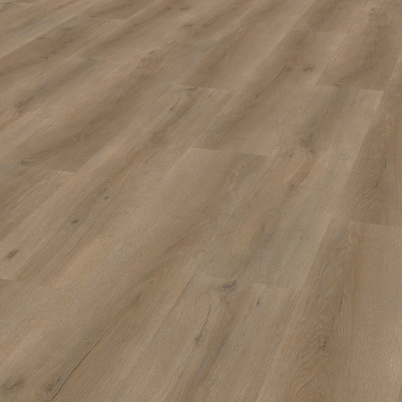 Vivafloors 6860 Eiche Klebe-Vinyl - Solzaleben.de