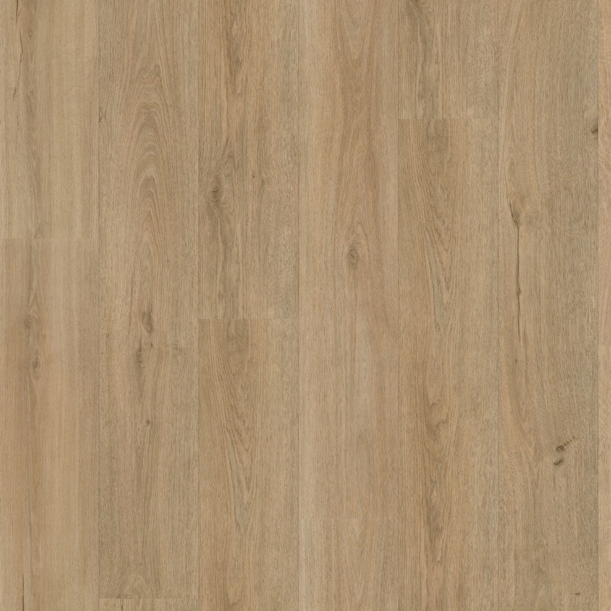 Vivafloors 7240 Eiche Klick-Vinyl - Solzaleben.de