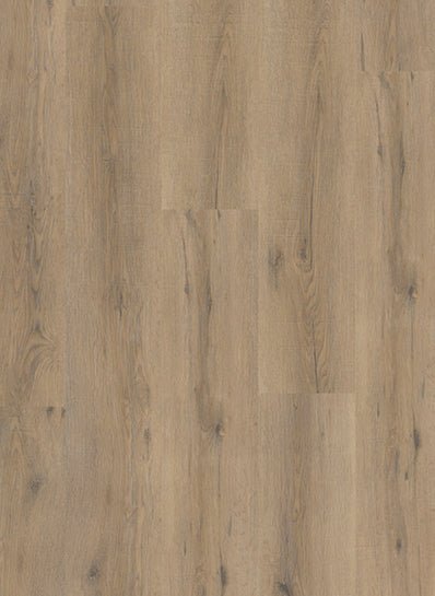 Gelasta City Dryback 4600 Smoked Oak Light - Solza.nl